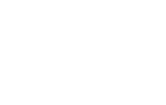 National Hockey League (USA)